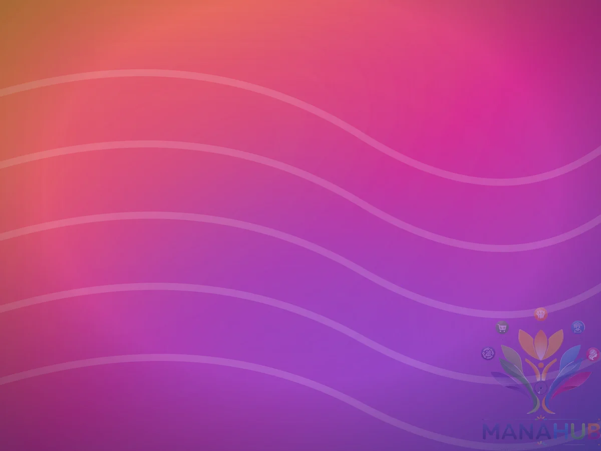 Rani Silks & Sarees consultation